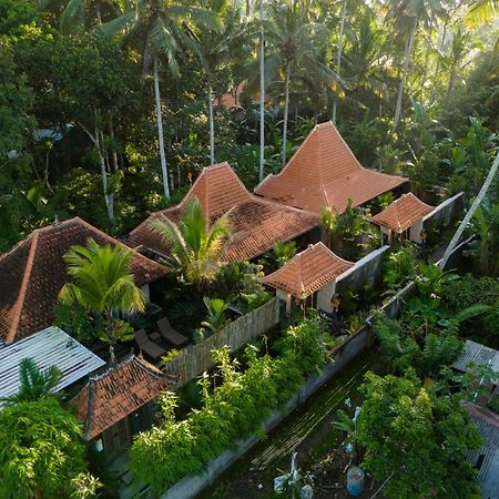 Jaya Villa Убуд Экстерьер фото