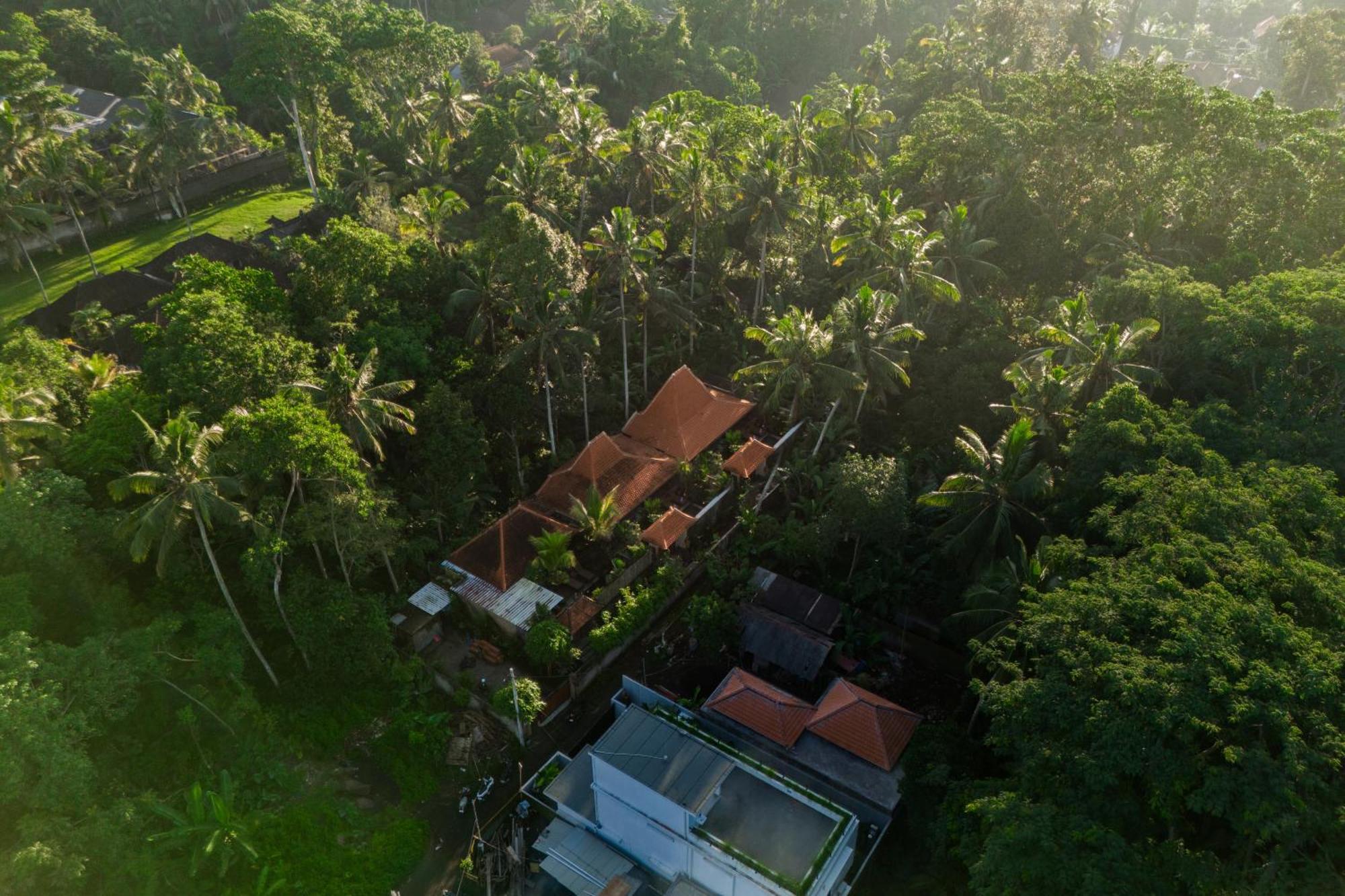 Jaya Villa Убуд Экстерьер фото